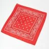 Funteze Accessories 1970s Red Paisley Print Bandana
