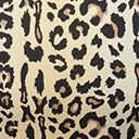 Kingdom & State Plus Size Leopard Print Swim Bottom