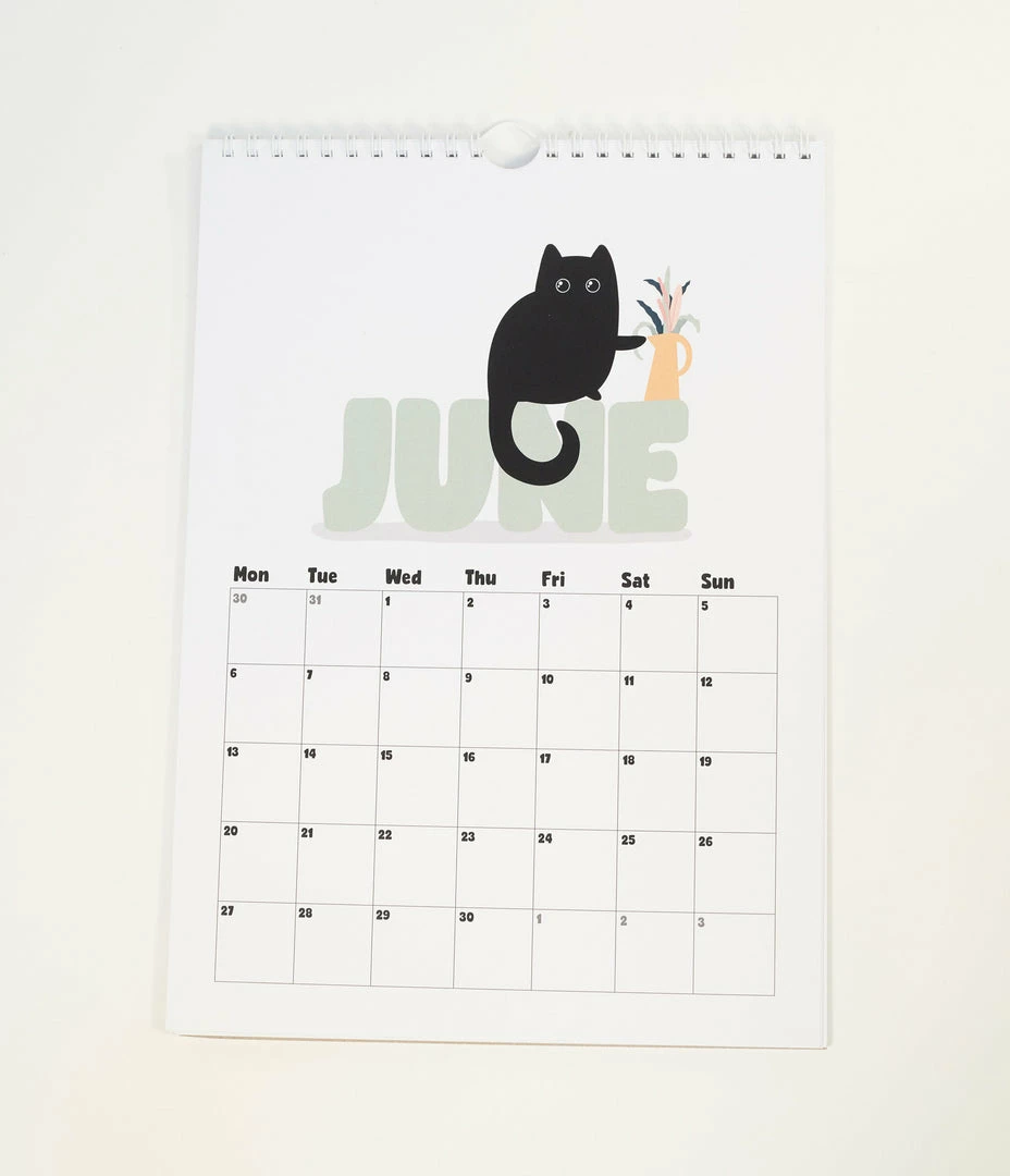 Faire (Daniella Illustrates) Kitty 2022 Wall Calendar