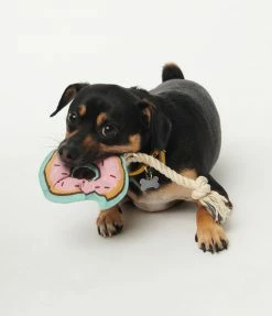 Finelines (ORE) Accessories Pink Donut Rope Dog Toy