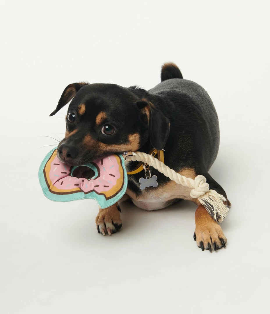 Finelines (ORE) Accessories Pink Donut Rope Dog Toy