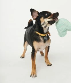 Finelines (ORE) Rainbow Rope Dog Toy