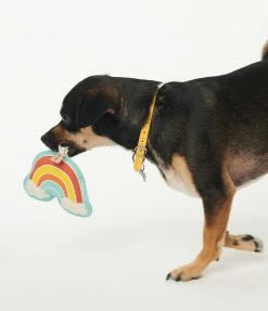 Finelines (ORE) Rainbow Rope Dog Toy