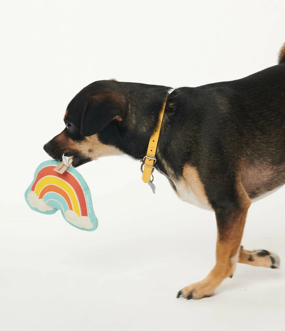 Finelines (ORE) Rainbow Rope Dog Toy