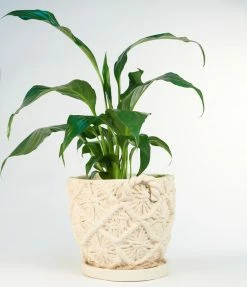 Finelines (Time Concept) White Macrame Medium Cement Planter