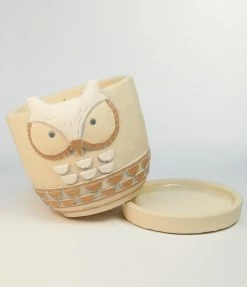 Finelines (Time Concept) Owl Animal Cement Planter Accessories