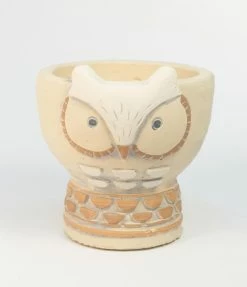 Finelines (Time Concept) Owl Animal Cement Pot Accessories