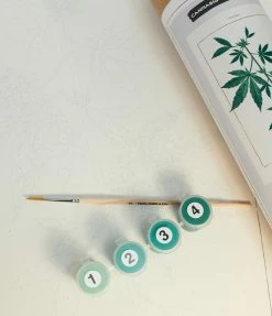 Finelines (COLOREADY) Accessories Cannabis Botanical Paint By Number Kit