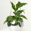 Finelines (Dado) Disco Ball Hanging Planter