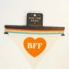 Chronicle Books Accessories BFF Love Dog Bandana