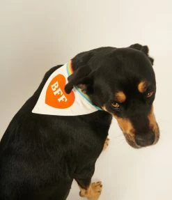 Chronicle Books Accessories BFF Love Dog Bandana