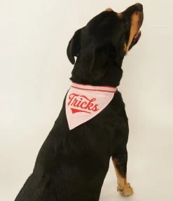 Chronicle Books Turns Tricks Dog Bandana Accessories