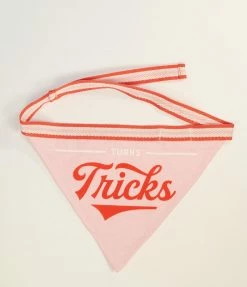 Chronicle Books Turns Tricks Dog Bandana Accessories