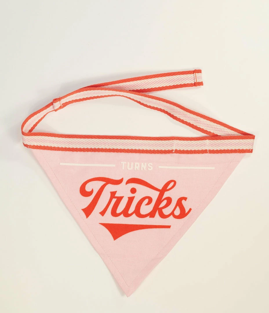 Chronicle Books Turns Tricks Dog Bandana Accessories