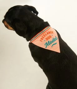 Chronicle Books Accessories Freelance Dog Model Bandana