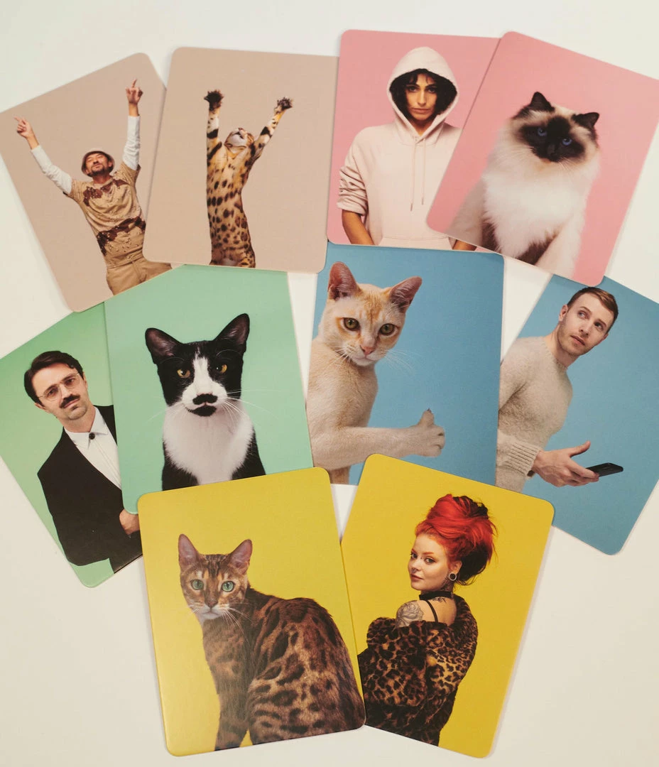 Chronicle Books Do You Look Like Your Cat Card Game Accessories