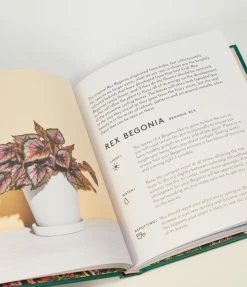 Chronicle Books Little Book Of House Plants & Other Greenery Accessories