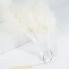 Arkansas Valley Feathers (Zucker Feathers) Vintage Style Ivory Marabou Feather Fan
